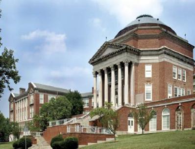 Walnut.jpg Walnut.jpg