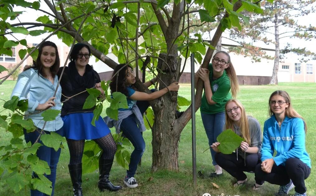 哈爾頓公立教育局4.jpg 哈爾頓公立教育局4.jpg