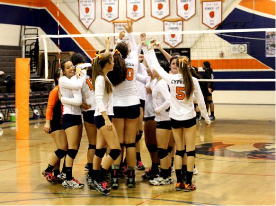 柏樹(shù)高中3.jpg 柏樹(shù)高中3.jpg