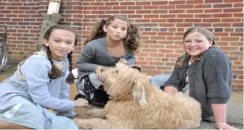 640_wx_fmt=png&tp=webp&wxfrom=5&wx_lazy=1.webp (4).jpg 640_wx_fmt=png&tp=webp&wxfrom=5&wx_lazy=1.webp (4).jpg