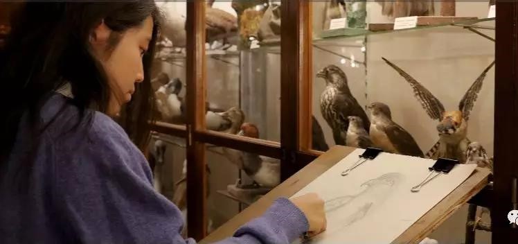 15440793646980238.jpg 15440793646980238.jpg