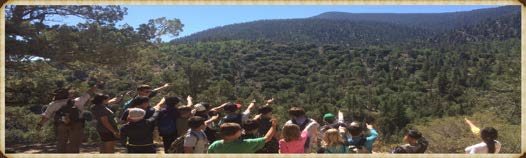 15133085322152021.jpg 15133085322152021.jpg