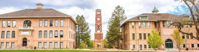 10 (1).png 10 (1).png