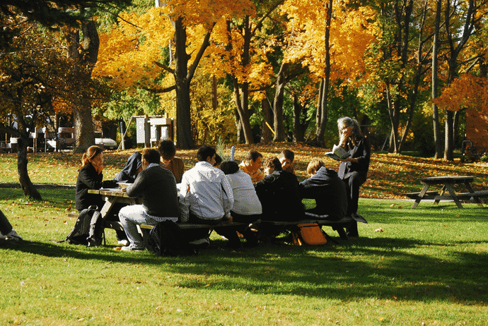 11 (1).png 11 (1).png