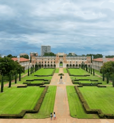 11 (1).png 11 (1).png