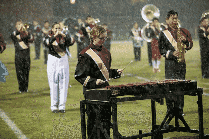 31 (1).png 31 (1).png