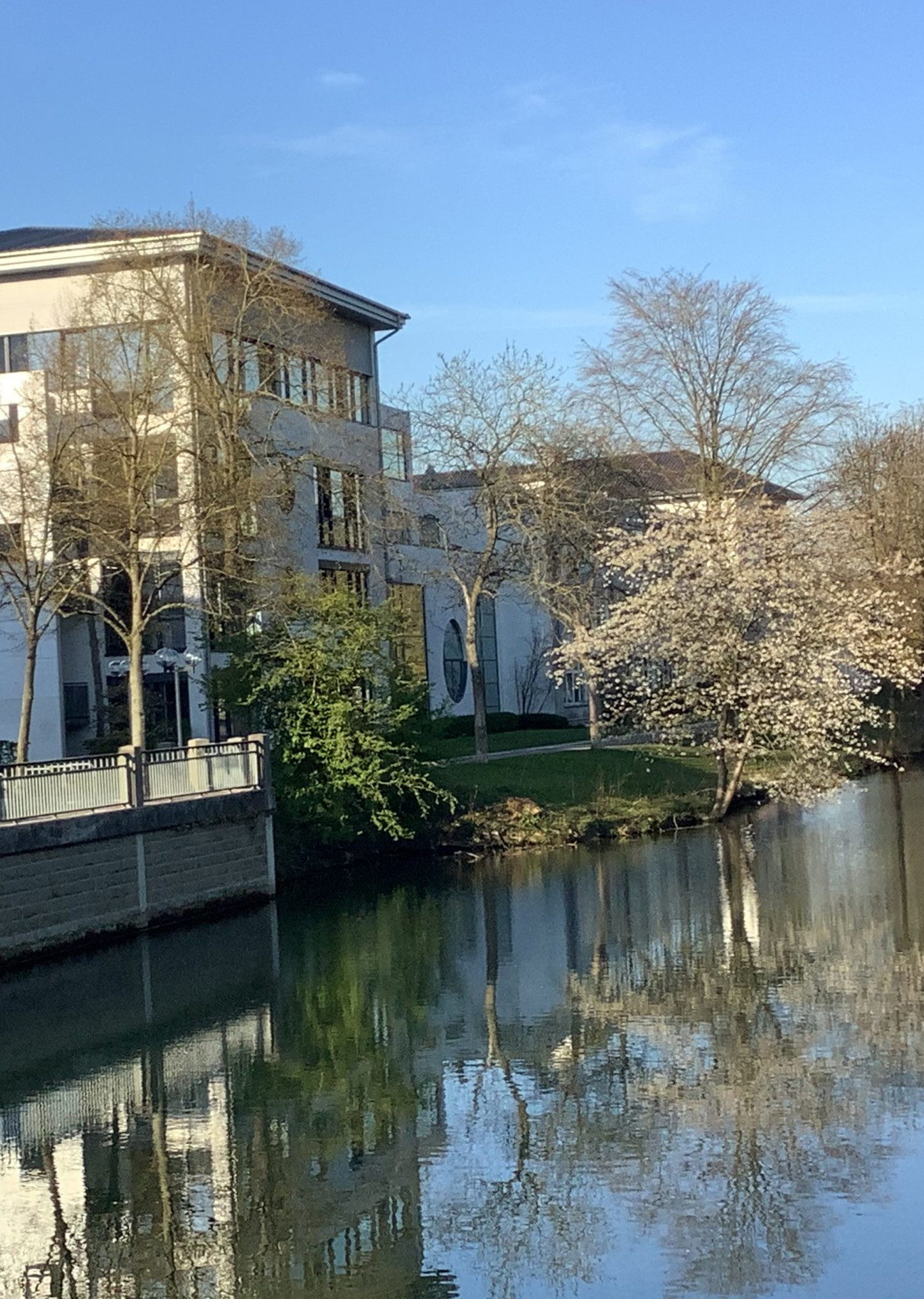 奧斯滕多夫高級(jí)文理中學(xué)-0001.jpg 奧斯滕多夫高級(jí)文理中學(xué)-0001.jpg