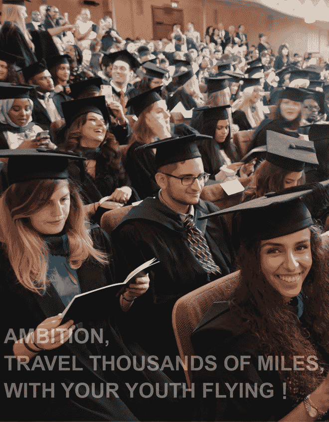 12 (1).png 12 (1).png