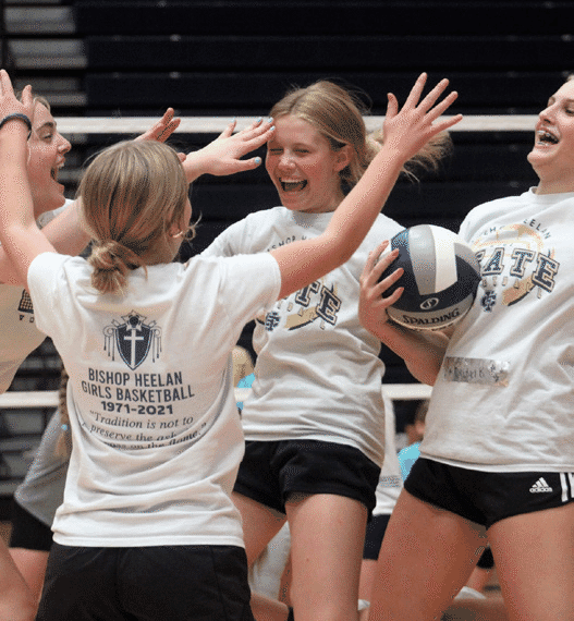 12 (1).png 12 (1).png